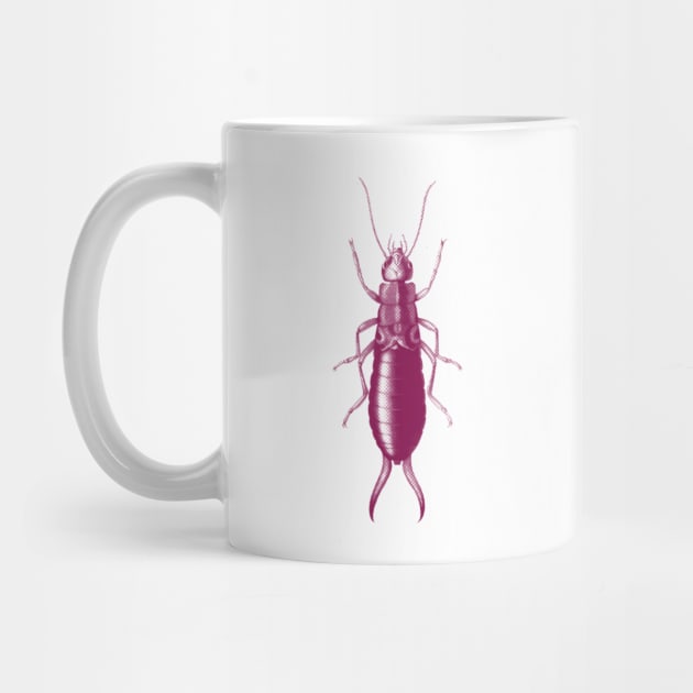 Follow The Earwig Pretty In Pink! Insect Collection by Squeeb Creative